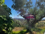 Terreno Urbano - Al�m da Ribeira, Tomar, Santar�m - Miniatura: 8/9