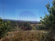 Terreno Urbano - Al�m da Ribeira, Tomar, Santar�m - Miniatura: 9/9