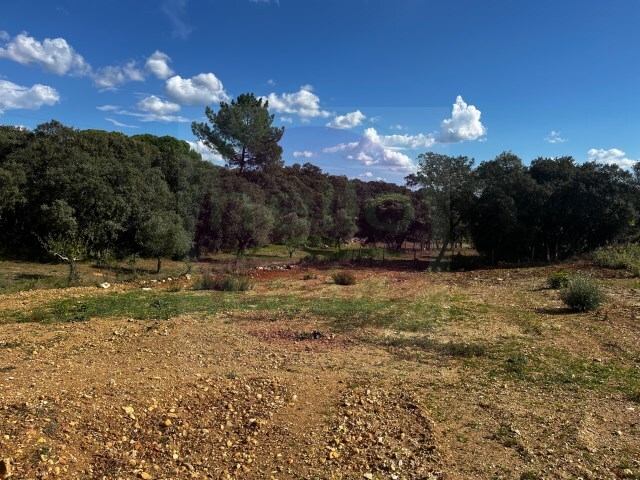 Outros - Carregueiros, Tomar, Santarém - Imagem grande