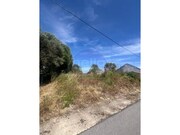 Terreno Rstico - So Joo Batista, Tomar, Santarm - Miniatura: 6/9