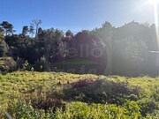 Moradia T3 - Asseiceira, Tomar, Santarm - Miniatura: 2/9