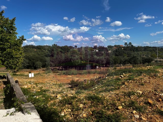 Outros - Carregueiros, Tomar, Santarém - Imagem grande