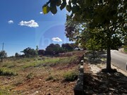 Outros - Carregueiros, Tomar, Santarm - Miniatura: 4/9