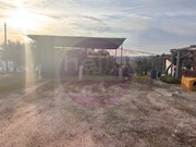 Moradia T3 - So Pedro de Tomar, Tomar, Santarm - Miniatura: 4/9