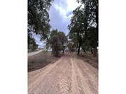 Terreno Rstico - So Pedro de Tomar, Tomar, Santarm - Miniatura: 2/9