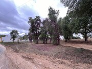 Terreno Rstico - So Pedro de Tomar, Tomar, Santarm - Miniatura: 5/9