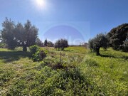 Moradia T3 - Paialvo, Tomar, Santarm - Miniatura: 6/9