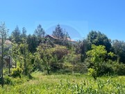 Quinta T3 - Madalena, Tomar, Santarm - Miniatura: 3/9