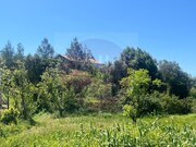 Quinta T3 - Madalena, Tomar, Santarm - Miniatura: 7/9