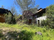 Quinta T3 - Madalena, Tomar, Santarm - Miniatura: 8/9