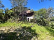 Quinta T3 - Madalena, Tomar, Santarm - Miniatura: 9/9