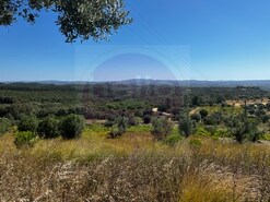 Terreno Urbano - Alm da Ribeira, Tomar, Santarm