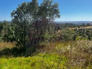 Terreno Urbano - Alm da Ribeira, Tomar, Santarm - Miniatura: 6/7