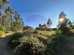 Terreno Rstico - Paialvo, Tomar, Santarm