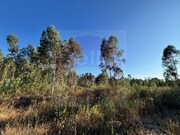 Terreno Rstico - Paialvo, Tomar, Santarm - Miniatura: 2/8