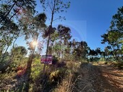 Terreno Rstico - Paialvo, Tomar, Santarm - Miniatura: 5/8