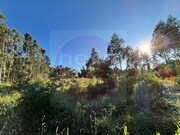 Terreno Rstico - Paialvo, Tomar, Santarm - Miniatura: 7/8
