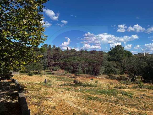 Outros - Além da Ribeira, Tomar, Santarém - Imagem grande