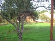 Quinta > T6 - Serra, Tomar, Santarm - Miniatura: 3/9