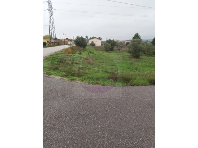 Terreno R�stico - S�o Pedro de Tomar, Tomar, Santar�m - Imagem grande