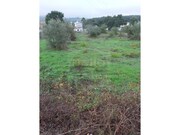 Terreno R�stico - S�o Pedro de Tomar, Tomar, Santar�m - Miniatura: 1/9
