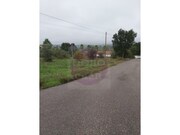Terreno R�stico - S�o Pedro de Tomar, Tomar, Santar�m - Miniatura: 4/9