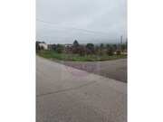 Terreno R�stico - S�o Pedro de Tomar, Tomar, Santar�m - Miniatura: 5/9