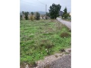 Terreno R�stico - S�o Pedro de Tomar, Tomar, Santar�m - Miniatura: 6/9