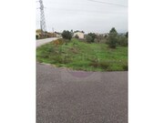 Terreno R�stico - S�o Pedro de Tomar, Tomar, Santar�m - Miniatura: 8/9
