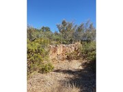 Ruina - Ferreiras, Albufeira, Faro (Algarve) - Miniatura: 1/6