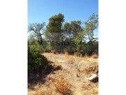 Ruina - Ferreiras, Albufeira, Faro (Algarve) - Miniatura: 6/6