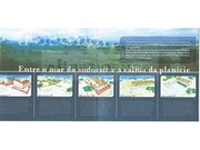 Terreno Rstico - Boavista dos Pinheiros, Odemira, Beja - Miniatura: 1/2
