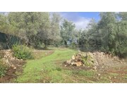 Terreno R�stico - Alte, Loul�, Faro (Algarve) - Miniatura: 1/9