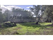 Terreno R�stico - Alte, Loul�, Faro (Algarve) - Miniatura: 4/9