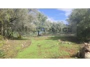 Terreno R�stico - Alte, Loul�, Faro (Algarve) - Miniatura: 5/9