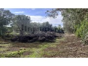 Terreno R�stico - Alte, Loul�, Faro (Algarve) - Miniatura: 7/9