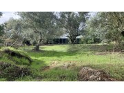 Terreno R�stico - Alte, Loul�, Faro (Algarve) - Miniatura: 8/9