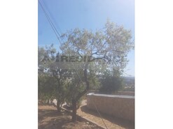 Ruina - Algoz, Silves, Faro (Algarve)