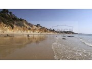Apartamento T1 - Olhos de �gua, Albufeira, Faro (Algarve) - Miniatura: 7/9