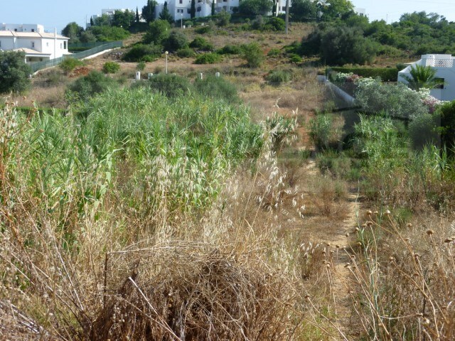 Terreno Urbano - Olhos de Água, Albufeira, Faro (Algarve) - Imagem grande