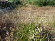 Moradia T3 - Olhos de �gua, Albufeira, Faro (Algarve) - Miniatura: 5/9