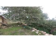 Ruina - Ferreiras, Albufeira, Faro (Algarve) - Miniatura: 2/9