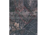 Ruina - Ferreiras, Albufeira, Faro (Algarve) - Miniatura: 3/9