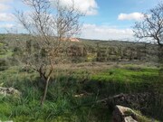 Ruina - Ferreiras, Albufeira, Faro (Algarve) - Miniatura: 9/9