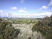 Ruina T4 - Tunes, Silves, Faro (Algarve) - Miniatura: 5/5