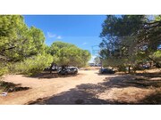 Outros - Olhos de �gua, Albufeira, Faro (Algarve) - Miniatura: 6/9