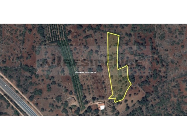 Terreno R�stico - S�o Bartolomeu de Messines, Silves, Faro (Algarve) - Imagem grande