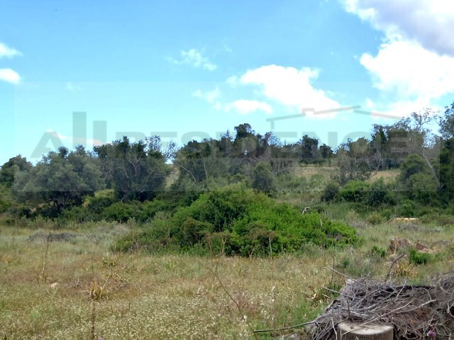 Terreno Urbano - Algoz, Silves, Faro (Algarve) - Imagem grande