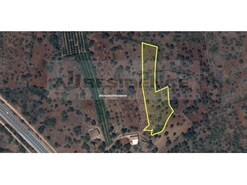 Terreno R�stico - S�o Bartolomeu de Messines, Silves, Faro (Algarve)
