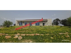 Quinta T3 - Algoz, Silves, Faro (Algarve)